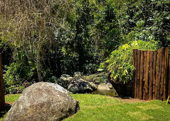 VELINN Pousada BromeliasPousada